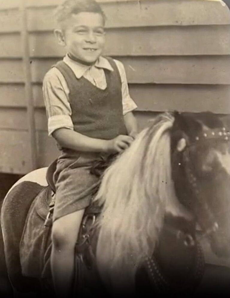 Stellini, Edward Young On Horse
